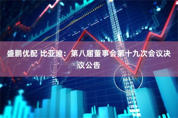 盛鹏优配 比亚迪：第八届董事会第十九次会议决议公告