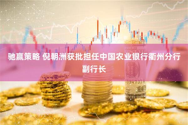 驰赢策略 倪朝洲获批担任中国农业银行衢州分行副行长