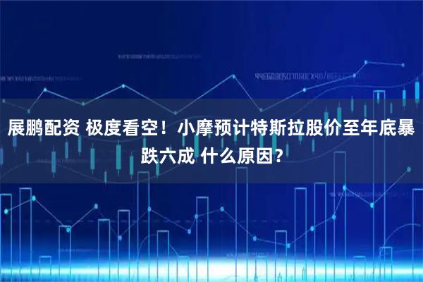 展鹏配资 极度看空！小摩预计特斯拉股价至年底暴跌六成 什么原因？