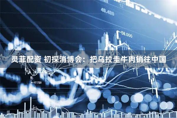 灵菲配资 初探消博会：把乌拉圭牛肉销往中国