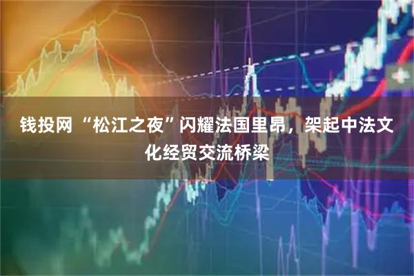 钱投网 “松江之夜”闪耀法国里昂，架起中法文化经贸交流桥梁